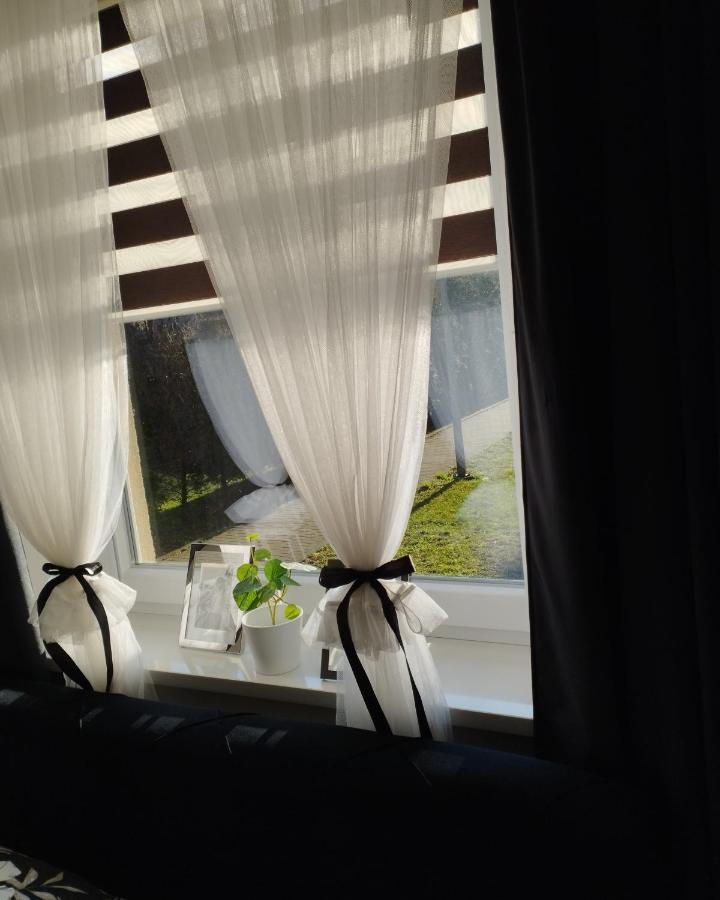 Magvel * Szczecin